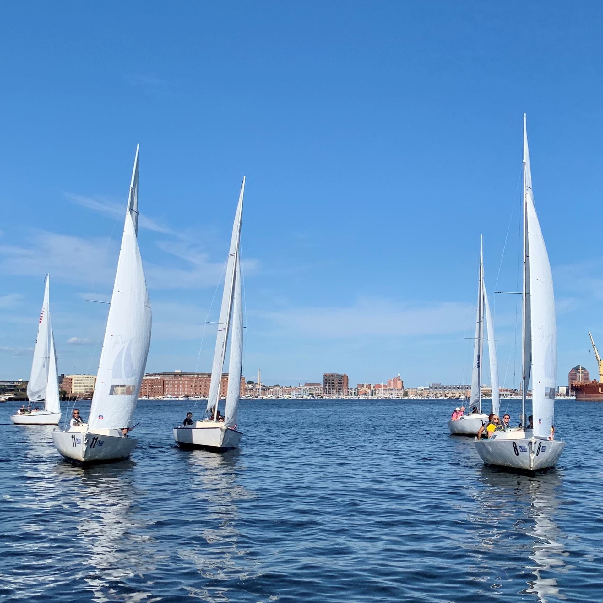 J22s and Sonars sail on a bluebird afternoon